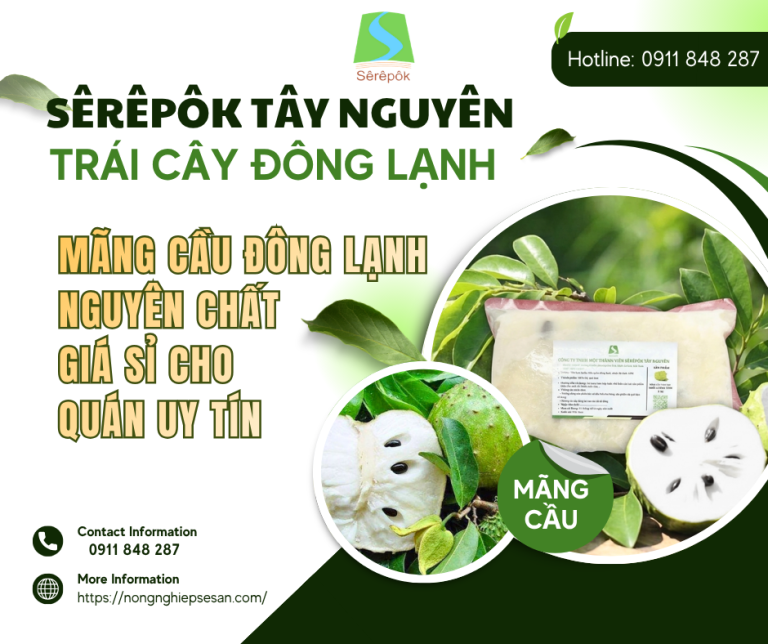 Mãng Cầu Đông Lạnh Nguyên Chất – Giá Sỉ Cho Quán Uy Tín
