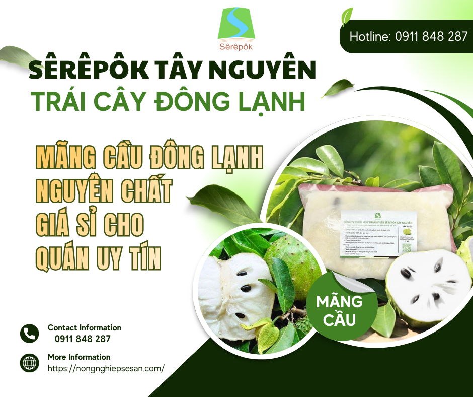 Mãng Cầu Đông Lạnh Nguyên Chất – Giá Sỉ Cho Quán Uy Tín