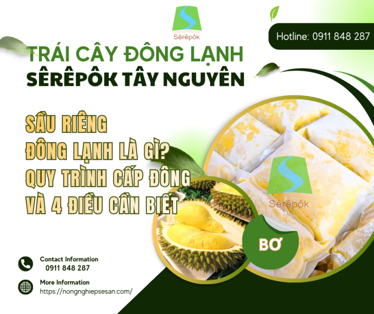 Sầu Riêng Đông Lạnh Là Gì? Quy Trình Cấp Đông Và 4 Điều Cần Biết