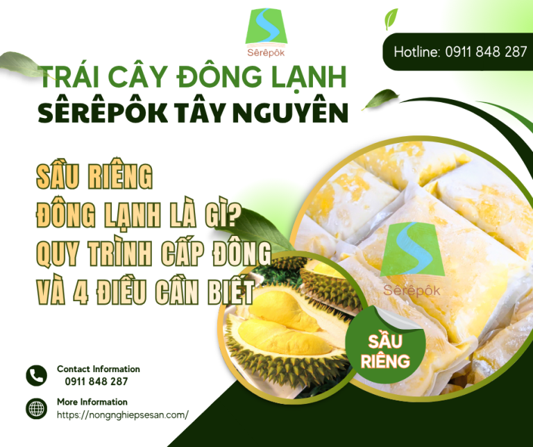 Sầu Riêng Đông Lạnh Là Gì? Quy Trình Cấp Đông Và 4 Điều Cần Biết