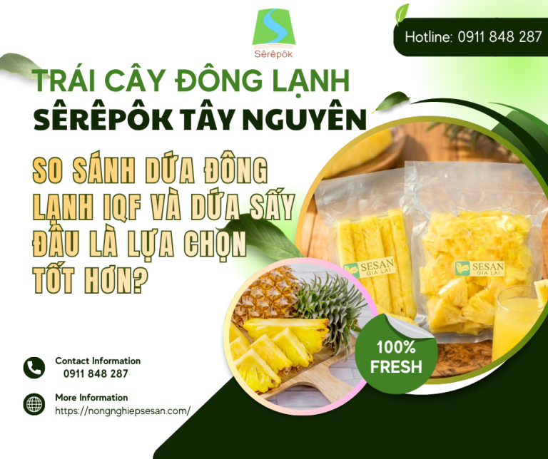 So Sánh Dứa Đông Lạnh IQF Và Dứa Sấy: Đâu Là Lựa Chọn Tốt Hơn?