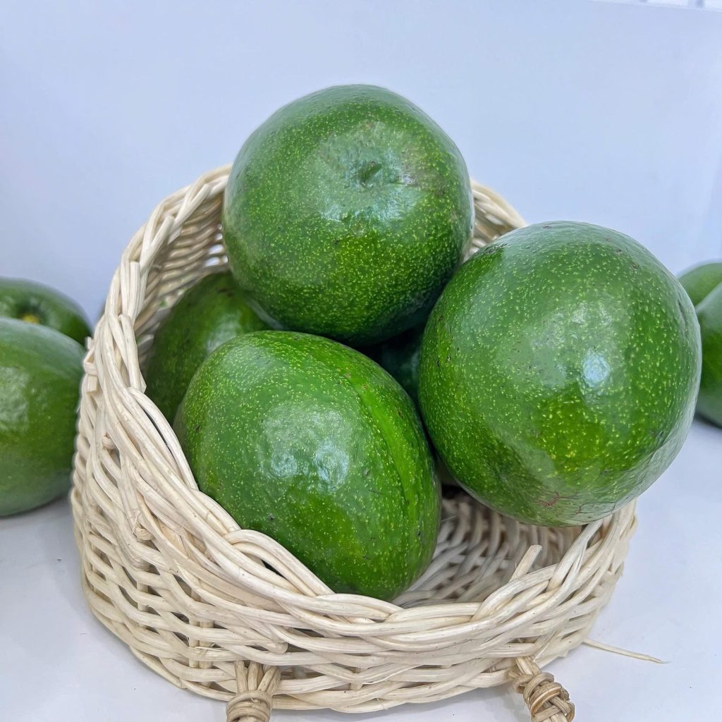 Bơ booth đặc sản Tây Nguyên