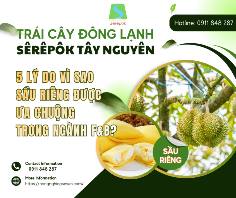 5 Lý Do Vì SAo Sầu Riêng Được Ưa Chuộng Trong Ngành F&B?