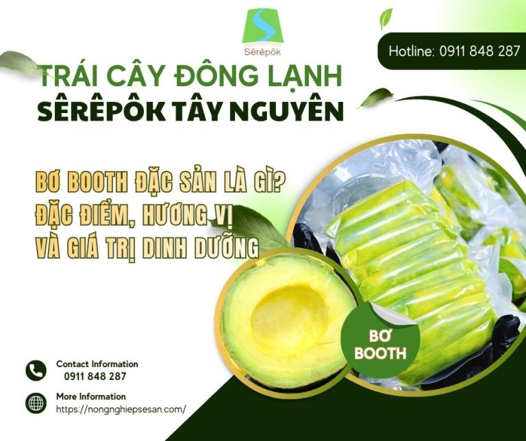 Bơ Booth Đặc Sản Là Gì? Đặc Điểm, Hương Vị Và Giá Trị Dinh Dưỡng