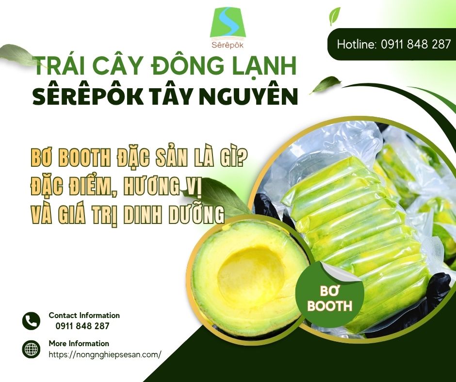 Bơ Booth Đặc Sản Là Gì? Đặc Điểm, Hương Vị Và Giá Trị Dinh Dưỡng