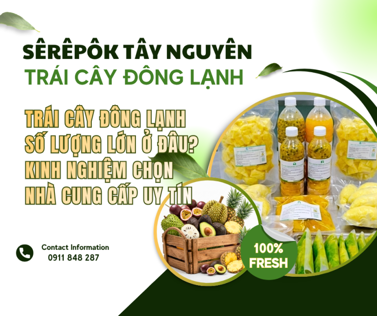 Mua Trái Cây Đông Lạnh Số Lượng Lớn Ở Đâu? Kinh Nghiệm Chọn Nhà Cung Cấp Uy Tín