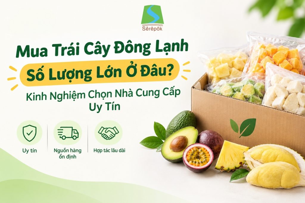 Mua Trái Cây Đông Lạnh Số Lượng Lớn Ở Đâu?
