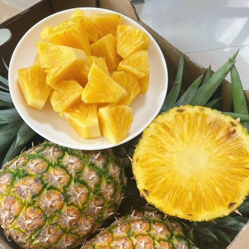 Dứa MD2 được gọi là dứa vàng hoặc dứa Golden