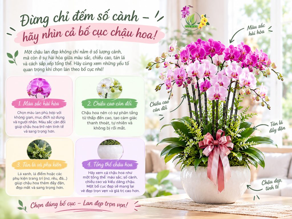 Đừng chỉ đếm số cành – hãy nhìn cả bố cục chậu hoa